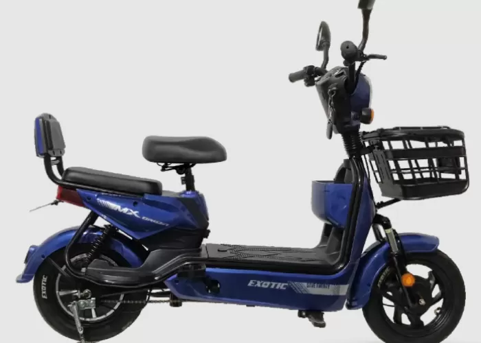 FotoJet-2024-01-26T122425990-2264825541