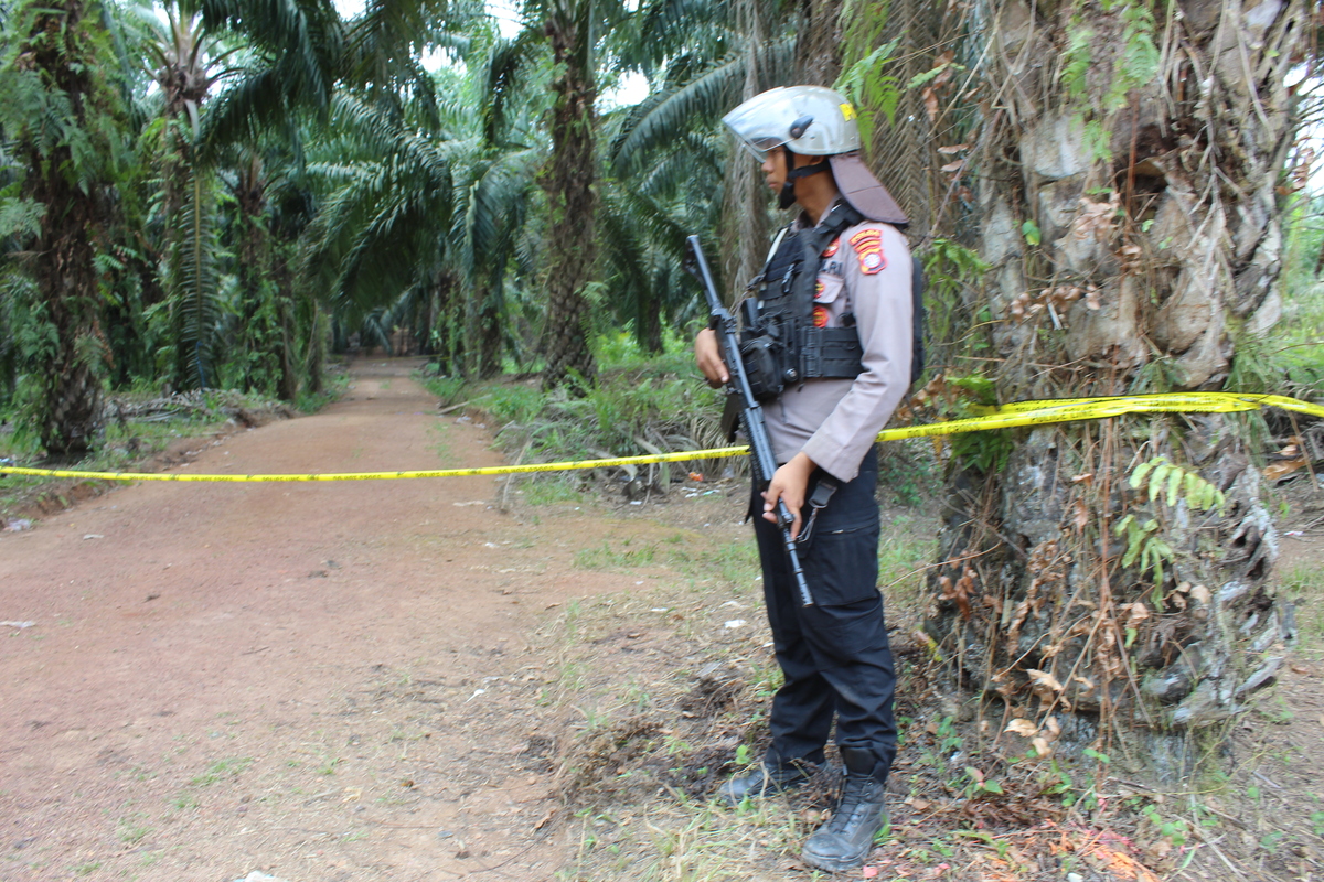 bc0f12ad-8f00-4c74-bf19-e44fa8c200cb_jpg